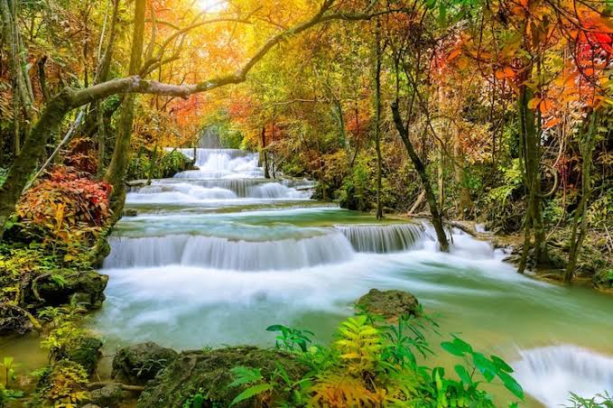 Österreich Natur schützen und lebendige Naturräume im eigenen Garten schaffen